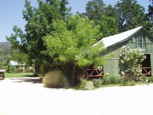 Dance_Hall_Barn_2.jpg